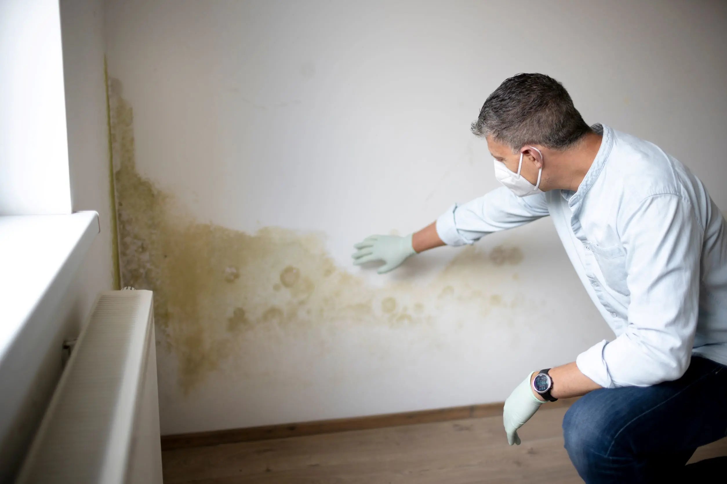 How To Remove Mould From Walls